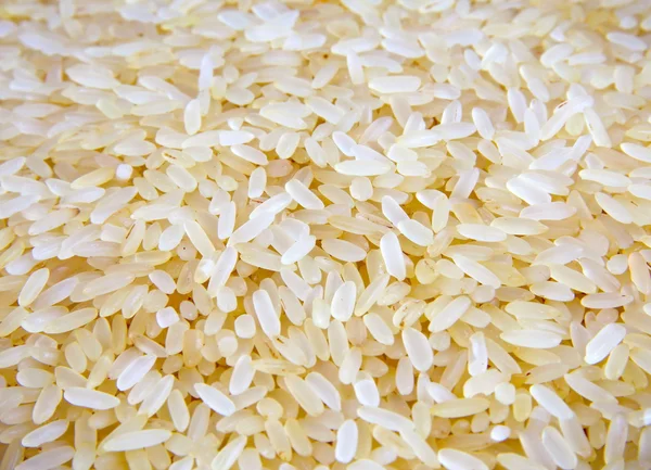 Closeup rýže — Stock fotografie
