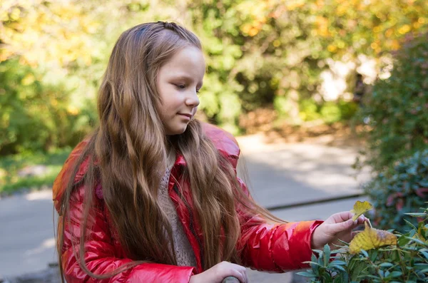 Meisje in het park — Stockfoto