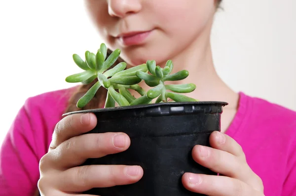 Menina com planta — Fotografia de Stock