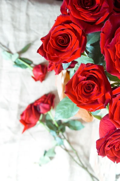 Κόκκινα τριαντάφυλλα closeup — Φωτογραφία Αρχείου
