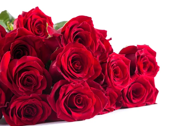 Czerwone róże zbliżenie — Zdjęcie stockowe