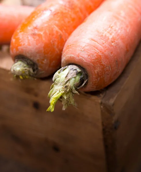 Zanahorias en caja — Foto de Stock