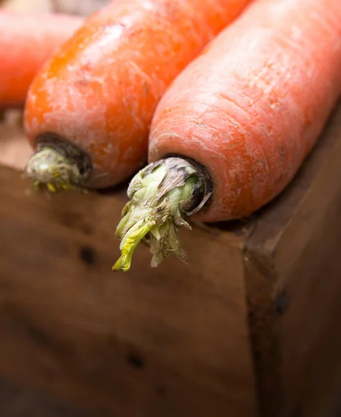 Carote in scatola — Foto Stock