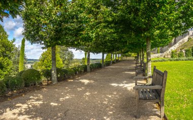 Benches in the garden