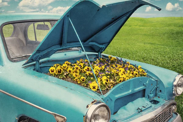 Blue car with flowers. Stock Picture