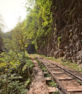 Guam gorge dar hat demiryolu.