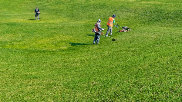 Lawn care. Cutting grass. Stock Image