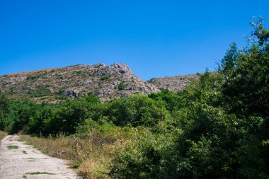 Orman ve mavi gökyüzü ile dağlara giden vahşi yaz yolu