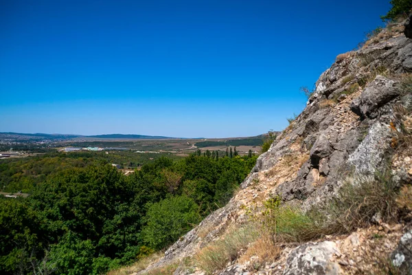 Dağın yamacında ağaçlar olan bir patika.