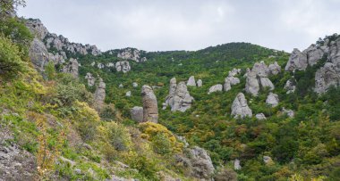Güneşli bir günde dağlık arka planda yeşil, vahşi bir vadide bulutlu bir manzara