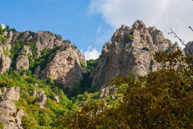 Güneşli bir günde dağlık arka planda yeşil, vahşi bir vadide bulutlu bir manzara