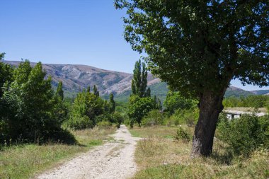 Orman ve mavi gökyüzü ile dağlara giden vahşi yaz yolu