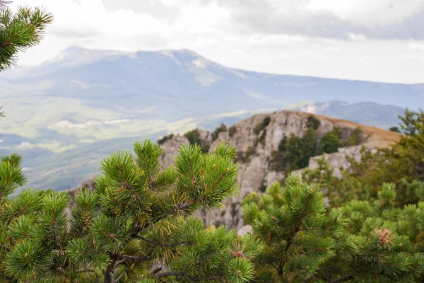 Güneşli bir günde dağlık arka planda yeşil, vahşi bir vadide bulutlu bir manzara
