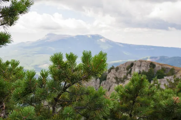 Güneşli bir günde dağlık arka planda yeşil, vahşi bir vadide bulutlu bir manzara