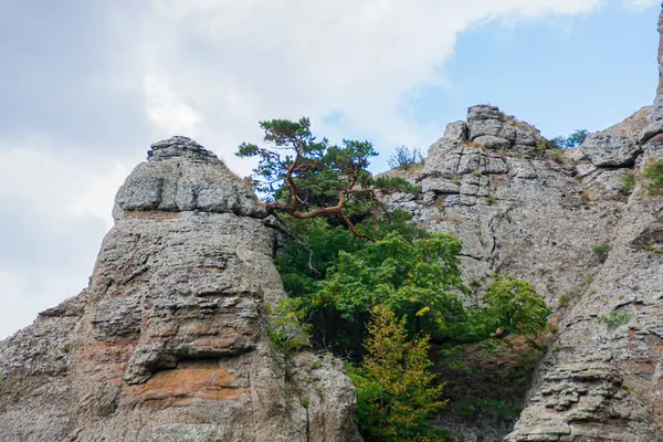 Güneşli bir günde dağlık arka planda yeşil, vahşi bir vadide bulutlu bir manzara