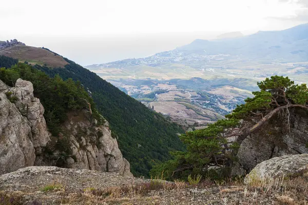Güneşli bir günde dağlık arka planda yeşil, vahşi bir vadide bulutlu bir manzara