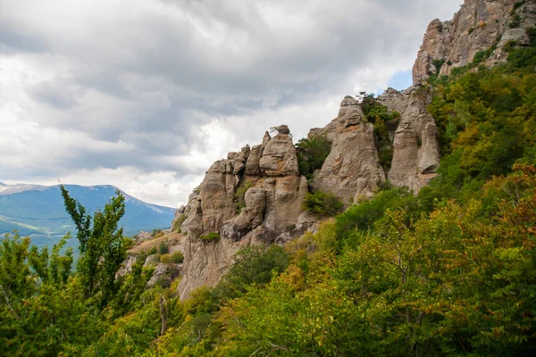 Vista Una Verde Valle Selvaggia Con Sfondo Montano Una Giornata — Foto Stock