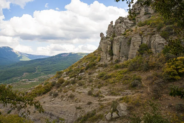 Vista Una Verde Valle Selvaggia Con Sfondo Montano Una Giornata — Foto Stock