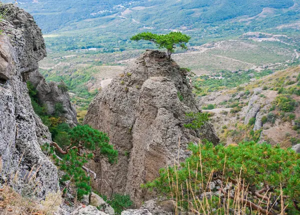Vue Sur Une Vallée Sauvage Verdoyante Avec Fond Montagne Par — Photo