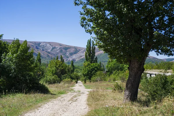 Orman ve mavi gökyüzü ile dağlara giden vahşi yaz yolu