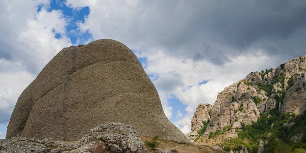 Güneşli Bir Günde Dağlık Arka Planda Yeşil Vahşi Bir Vadide Telifsiz Stok Fotoğraflar