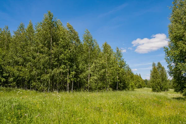 Tarla ve orman arasındaki sınır