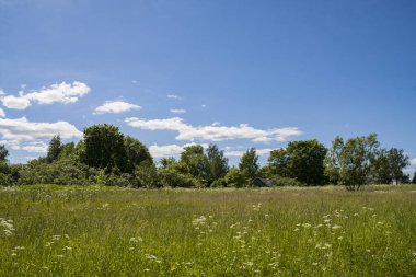 Tarla ve orman arasındaki sınır
