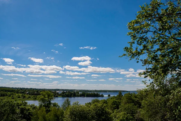 Nehir manzaralı yeşil yaz ormanı