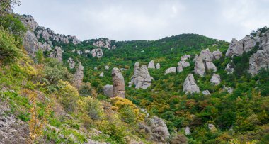 Dağlık arka planda yeşil bir vadiye bak.