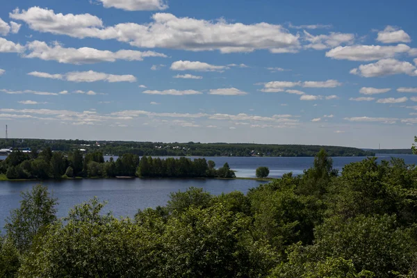 Nehir manzaralı yeşil yaz ormanı