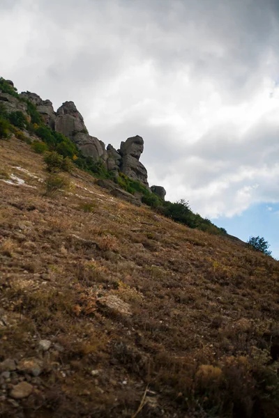 Dağlık arka planda yeşil bir vadiye bak.