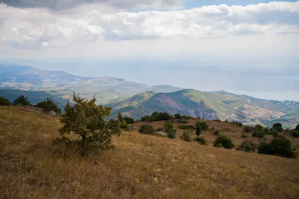 Dağlık arka planda yeşil bir vadiye bak.