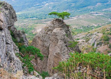 Dağlık arka planda yeşil bir vadiye bak.