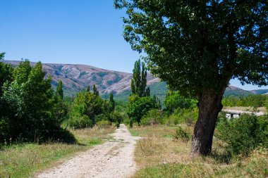 Dağlara giden vahşi yaz yolu
