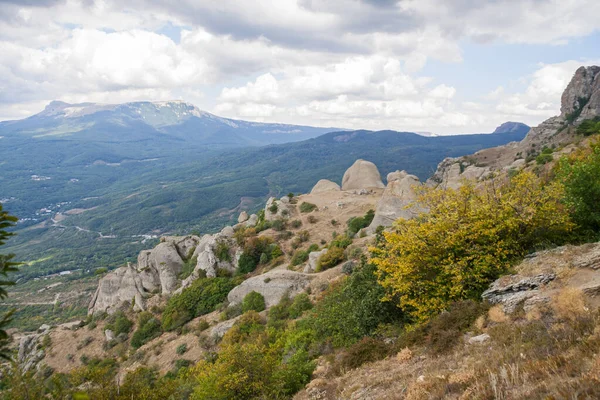 Dağlık arka planda yeşil bir vadiye bak.