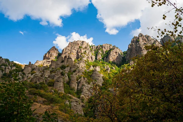 Vista su una valle verde con sfondo montano — Foto Stock