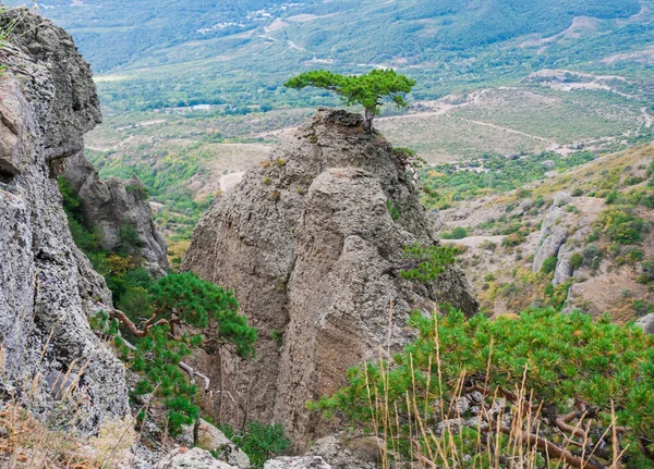 Dağlık arka planda yeşil bir vadiye bak.
