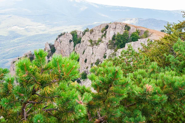 Vue sur une vallée verdoyante avec fond de montagne — Photo