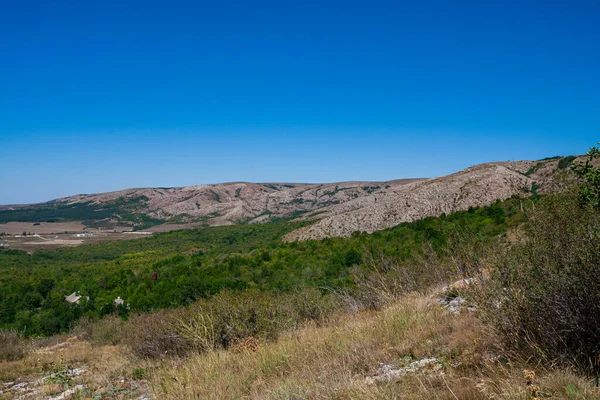 Widok na zieloną dolinę z tłem górskim — Zdjęcie stockowe
