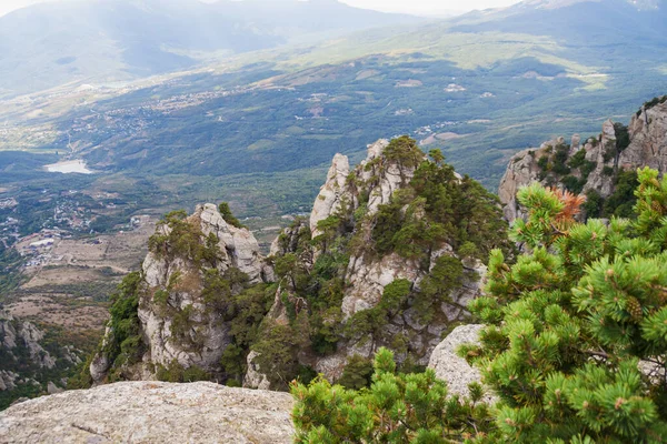 Dağlık arka planda yeşil bir vadiye bak.