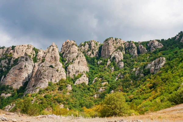Вид на зелену долину з гірським тлом — стокове фото