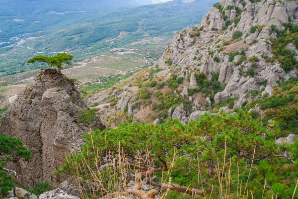 Вид на зеленый валун на фоне гор — стоковое фото