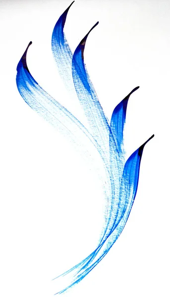 mavi soyut mürekkep darbeleri izole edildi