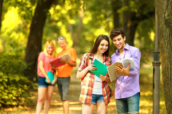 Grupo de estudiantes felices con libros en el Parque en un día soleado . — Foto de Stock