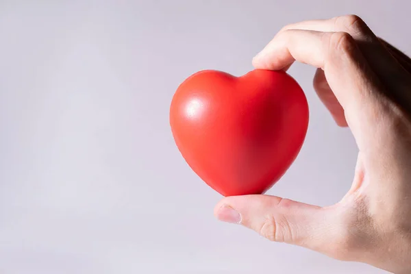 Doe dicht. klein hart in een menselijke hand . — Stockfoto