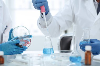 Kapat. Bilim adamları petri kabından sıvı test ediyorlar..