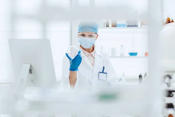 Zblízka. vědkyně ukazující Petriho misku s chřipkovými kmeny . — Stock fotografie