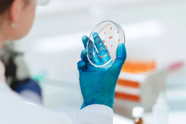 Zárj be! női tudós egy Petri-csészével . — Stock Fotó