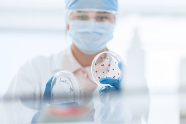 Kapat. Petri kabı olan dişi bir mikrobiyolog. .