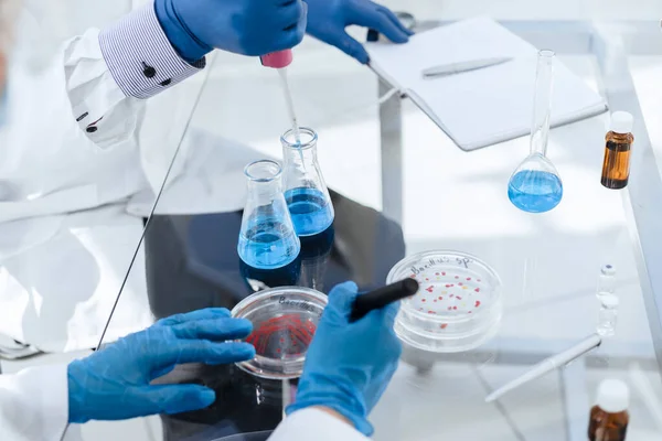 Cientistas conduzem pesquisa em laboratório microbiológico. — Fotografia de Stock